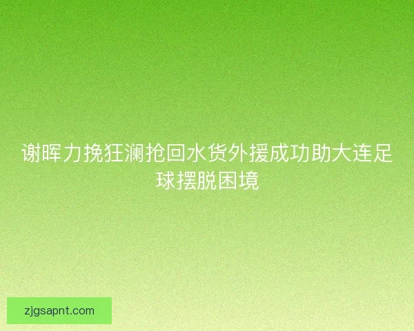 谢晖力挽狂澜抢回水货外援成功助大连足球摆脱困境
