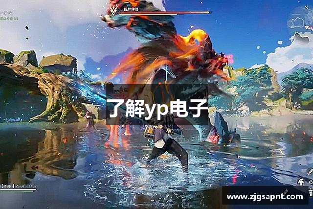 了解yp电子